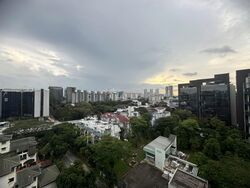 Leedon Green (D10), Condominium #565537851